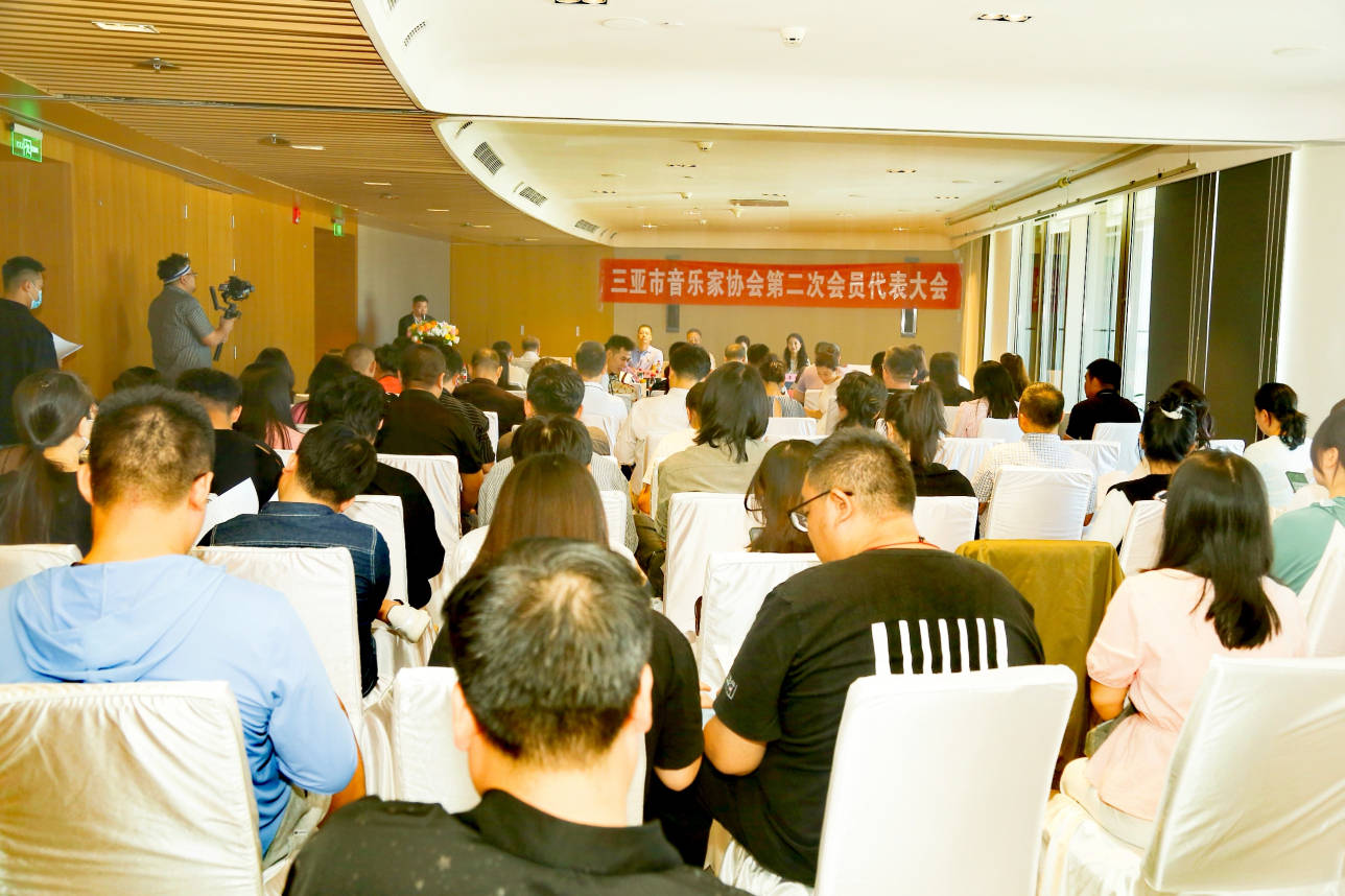 新2会员_三亚市音乐家协会召开第二次会员代表大会新2会员，曾丽君当选为新一任协会主席