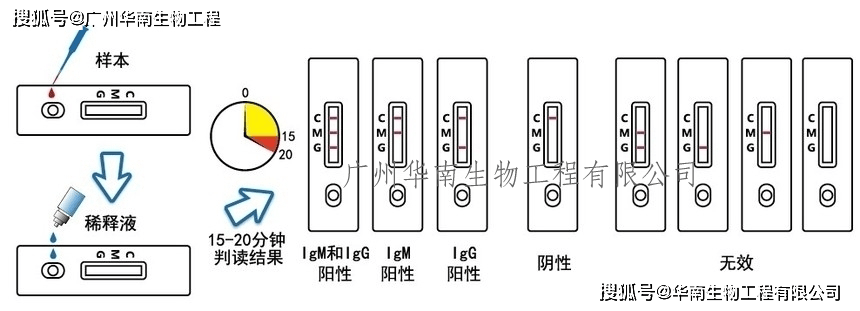 皇冠登1登2登3_登革病毒抗原NS1、登革IgG/IgM抗体检测试剂盒（胶体金法）