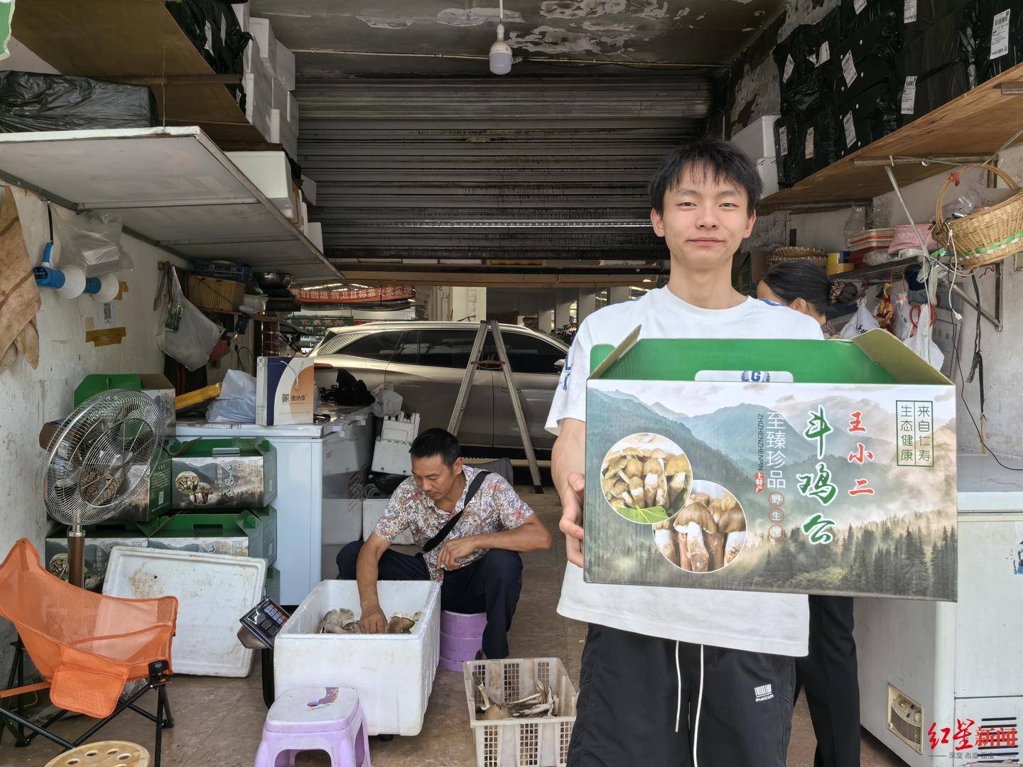 信用平台出租_“天价”鸡枞调查：最贵卖到1800元/公斤！雨水少致产量低信用平台出租，多地价高客少
