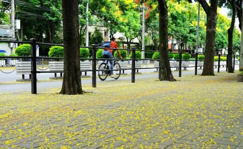 皇冠信用網代理如何注册_上海天气大反转！雨水+冷空气来袭皇冠信用網代理如何注册，气温将骤降...“差不多行了，再热就不礼貌了”