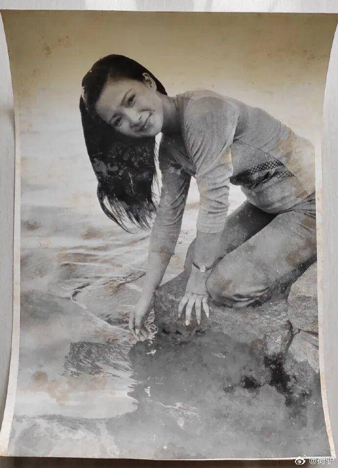 皇冠信用盘代理出租_何晴去世：一代美人离去皇冠信用盘代理出租，古今多少事，都付笑谈中