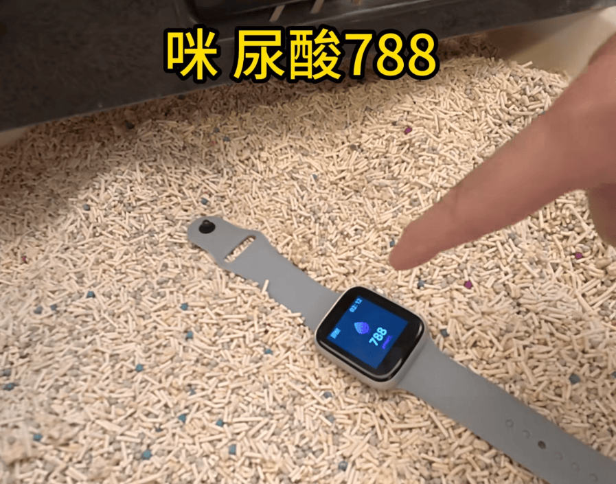 皇冠如何代理_父母花84元网购“神奇手表”皇冠如何代理,儿子发现能测万物:猫咪血糖5.9,吸尘器血糖7.4,父母:下次不买了