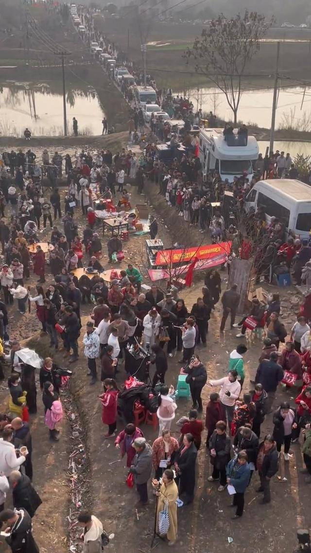 皇冠b盘_两头猪何以引发全网狂欢皇冠b盘？丨顶端观察