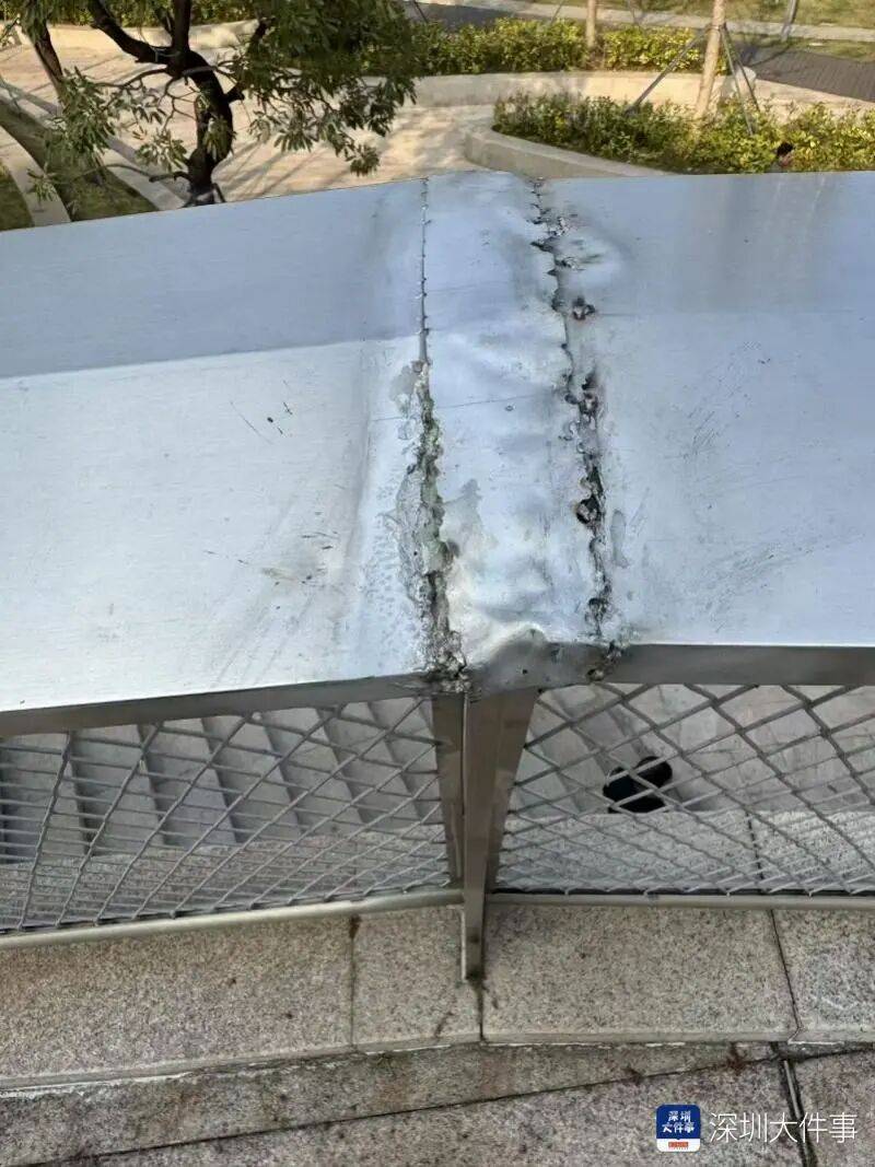 世界杯皇冠信用网开户_“影响我的形象”!一男子在深圳湾遭遇意外世界杯皇冠信用网开户,头皮被戳破!部门回应